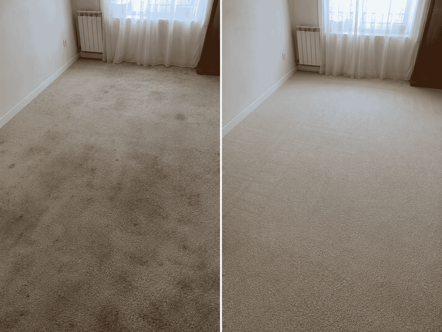 Moqueta de oficina antes y después de la limpieza profesional